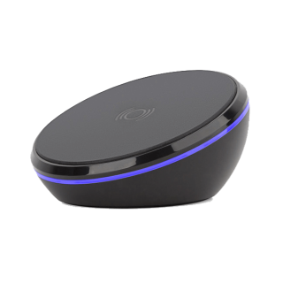 Suspendisse vehicula at dui